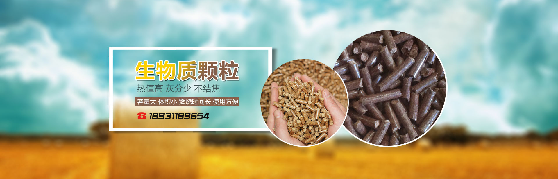 生物質能源